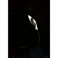 Coleman Valdes Deluxe 4xl Air Blackout Tent -CampEase Store 2000037563 16